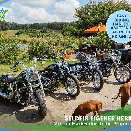 Wellness-Suite-Im-Wald-Am-See キューリッツ エクステリア 写真