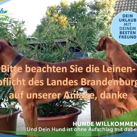 Wellness-Suite-Im-Wald-Am-See キューリッツ エクステリア 写真